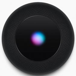 Умная колонка Apple HomePod Black