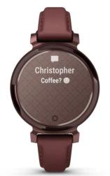 Умные часы Garmin Lily 2 Classic, коричневый (010-02839-03)